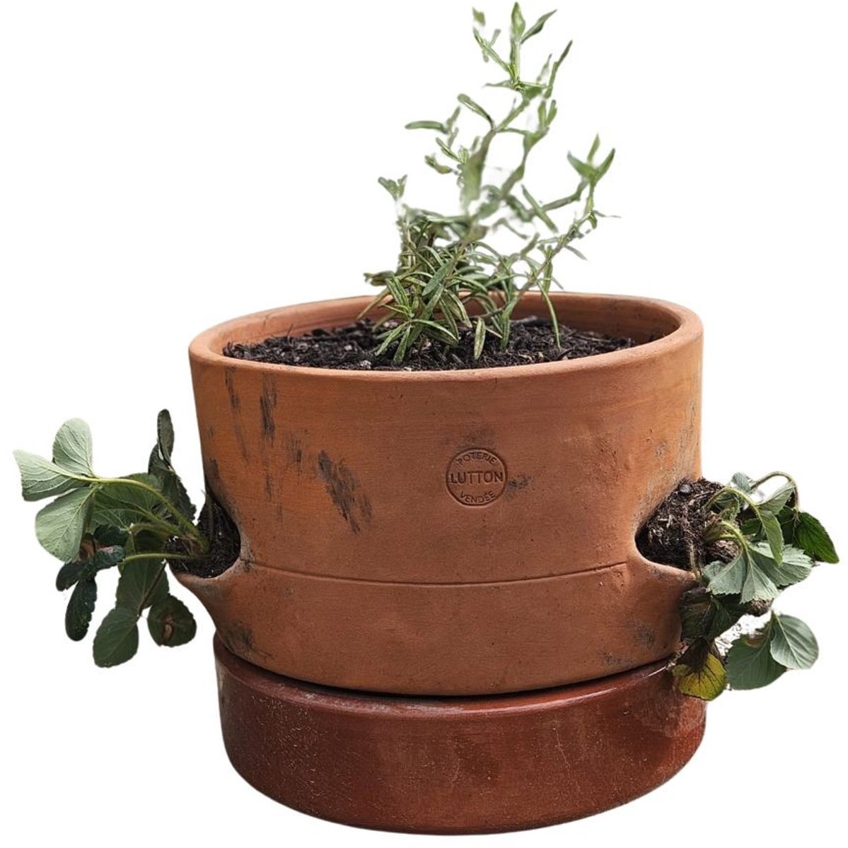 Dutchlander stapelbare kweekpot aardbeienpot - terracotta - 1 etage - 28 x 28 x 23 cm
