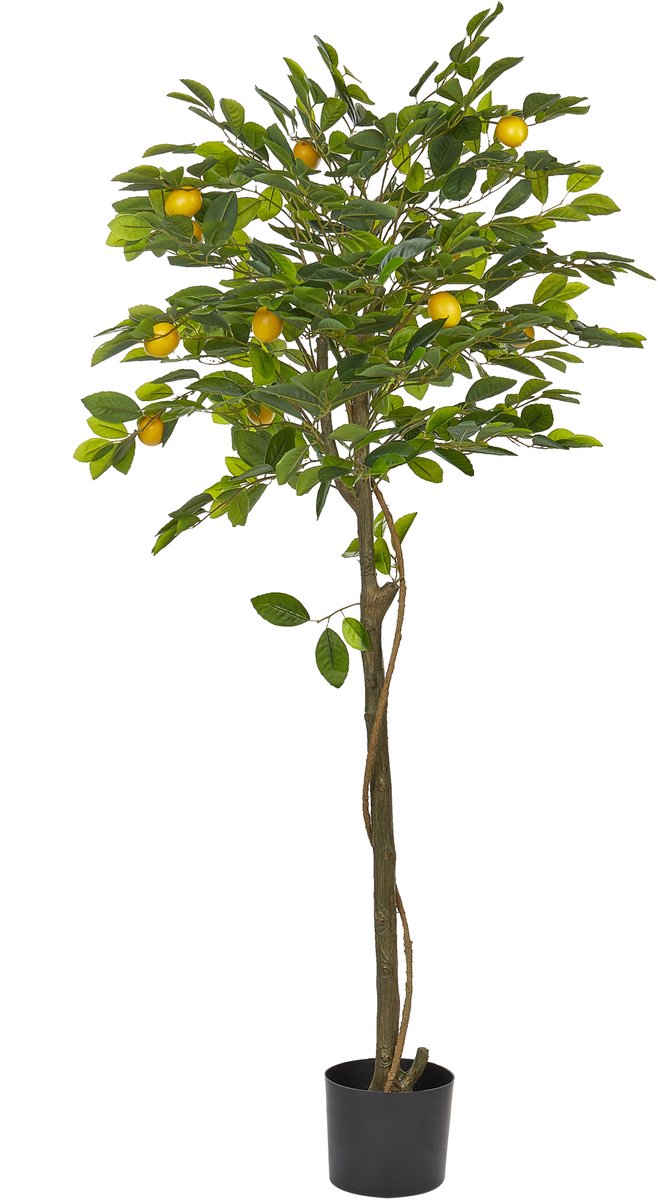 Beliani LEMON TREE - Kunstplant - Groen - 156 cm - Synthetisch materiaal