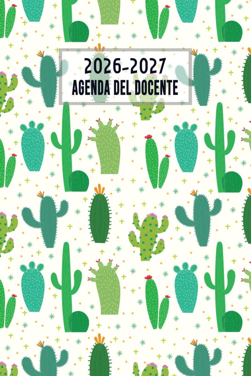 Agenda del docente 2026 2027 - 15 x 21 cm - 360 pagina's - dagelijks overzicht - ideaal voor leraren - ShopVlot