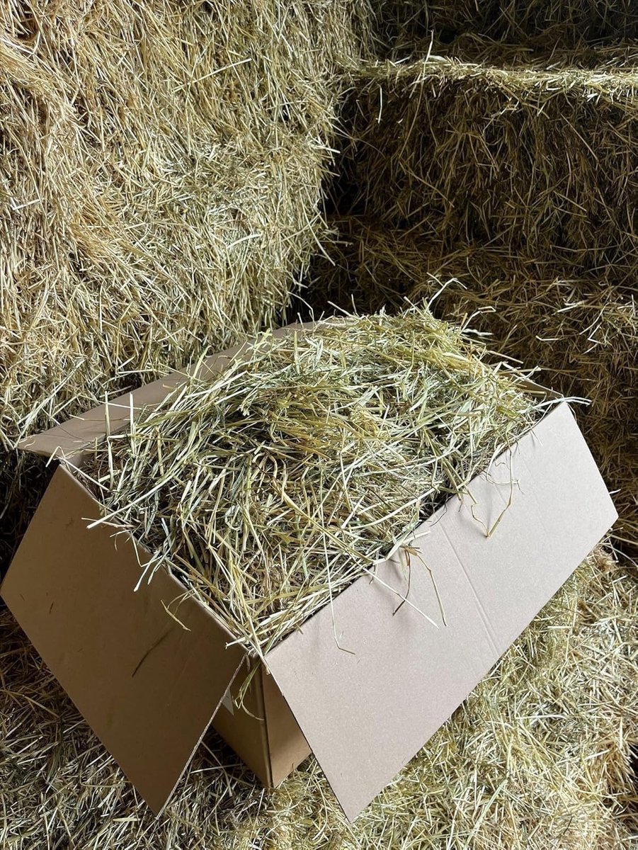 hooi in een doos/hay in a box