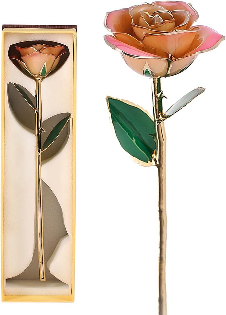 Gouden Roos - Eeuwige Roos Gedoopte Roos - Cadeau Geven - Echte Roos in 24K Goud - 31 cm - Witgoud