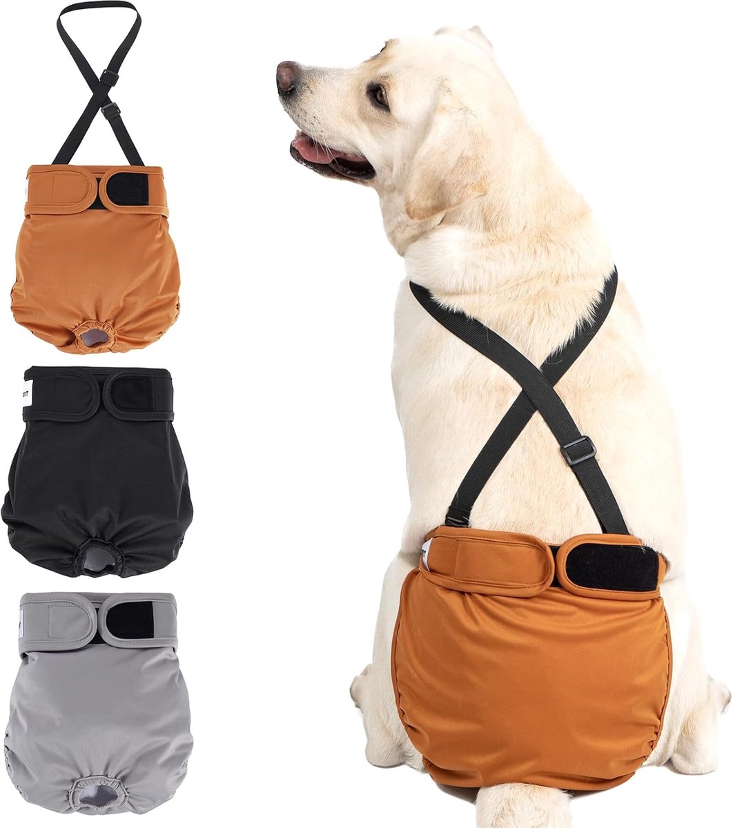 Luiers met riem (luiers die niet vallen), broekje voor hond, vrouwelijk, hoge warmte, XL oranje/grijs/zwart