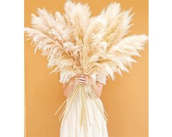 Bannifll 46-inch Natuurlijke Pampasgrasdecoratie van 10 stelen. Perfect voor bruiloften, feesten, boerderijen en - ShopVlot