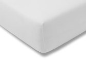 ECB Hoeslaken - Jersey - 80 x 220 cm - Wit