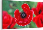 Schilderij - Rode Bloemen — 90x60 cm