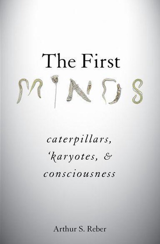 The First Minds - cover