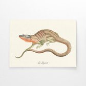 Walljar - Le Lézard - Dieren poster met lijst