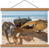 Schoolplaat – Krab in het Zand - 40x30cm Foto op Textielposter (Wanddecoratie op Schoolplaat)