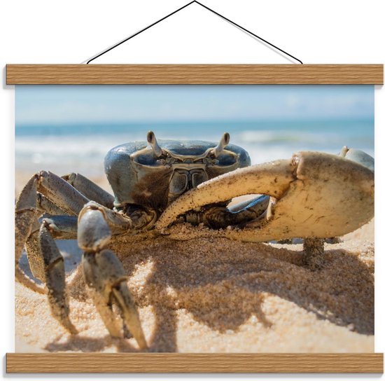 Schoolplaat – Krab in het Zand - 40x30cm Foto op Textielposter (Wanddecoratie op Schoolplaat)