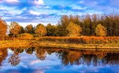 Schilderij foto natuur en bos  - boslandschap rivier - Dibond - Aluminium schilderij - 90 x 60 cm