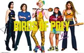 GBeye Birds of Prey Group  Poster - 91,5x61cm