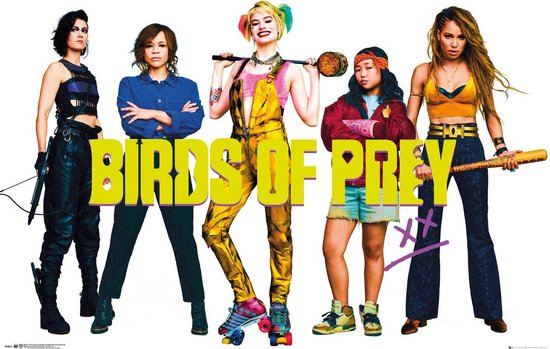 Birds of Prey Group Poster 61x91.5cm