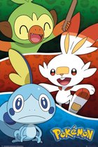 POKEMON - Poster 61X91 - Galar Starters