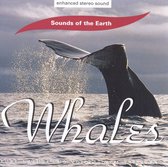 Whales