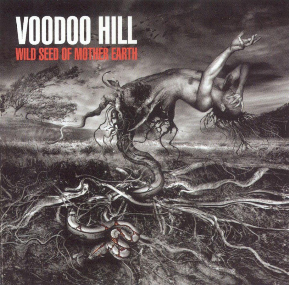 Wild Seed Of Mother Earth - Voodoo Hill