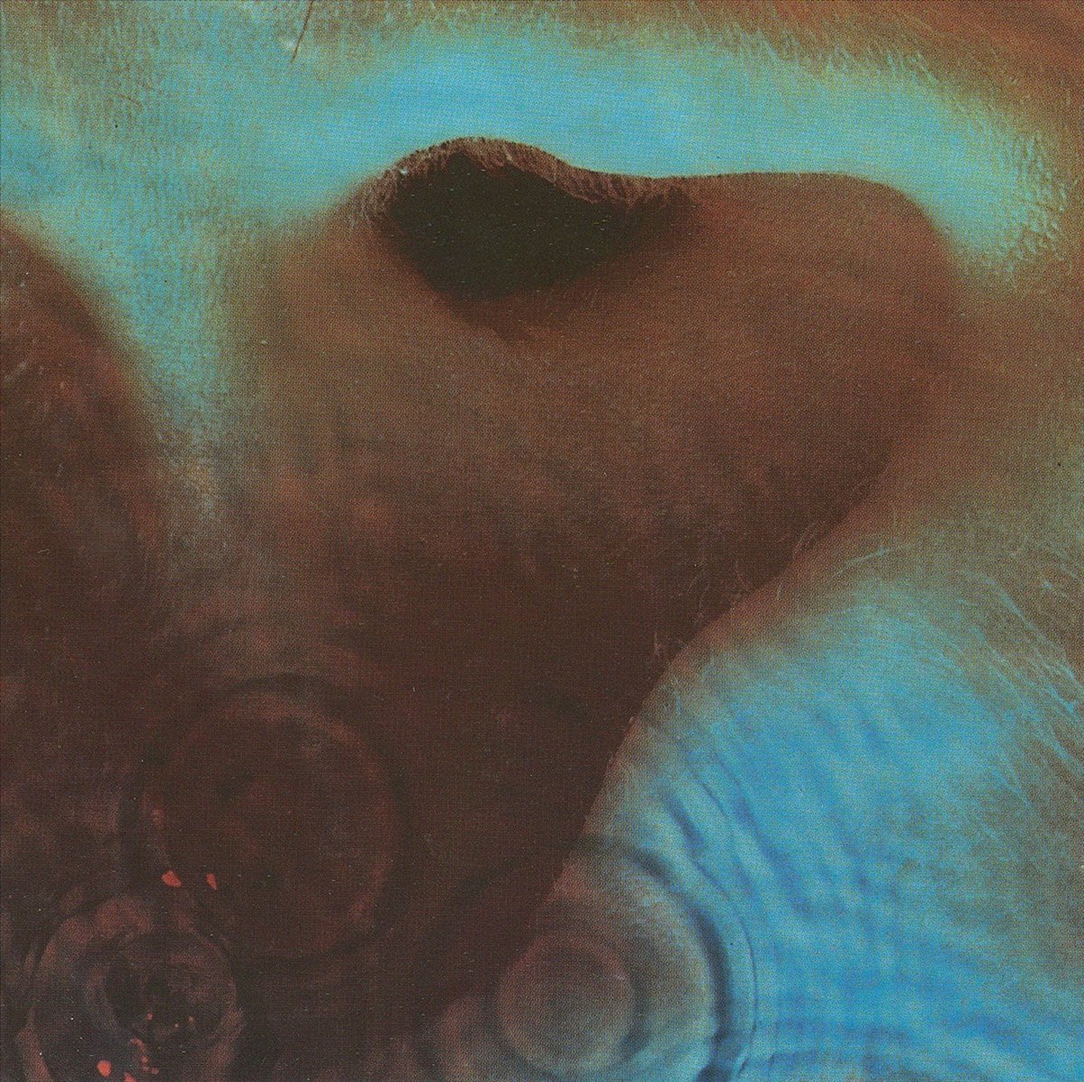 Meddle