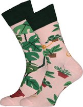 Many Mornings sokken Plant Lover - Unisex - Maat: 43-46