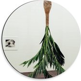 Dibond Wandcirkel - Palmboom aan het Plafond - 30x30cm Foto op Aluminium Wandcirkel (met ophangsysteem)