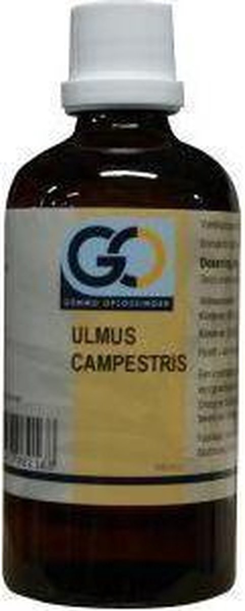 Goedkoopste Go Ulmus Campestris
