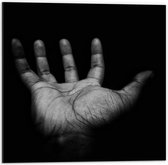 Dibond - Helpende Hand (zwart/wit) - 50x50cm Foto op Aluminium (Wanddecoratie van metaal)