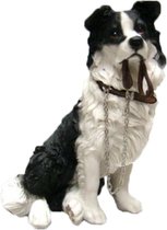 Dierenbeelden Border collie hond - Decoratie beeldje 18 cm