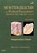 Netter Green Book Collection - The Netter Collection of Medical Illustrations: Integumentary System