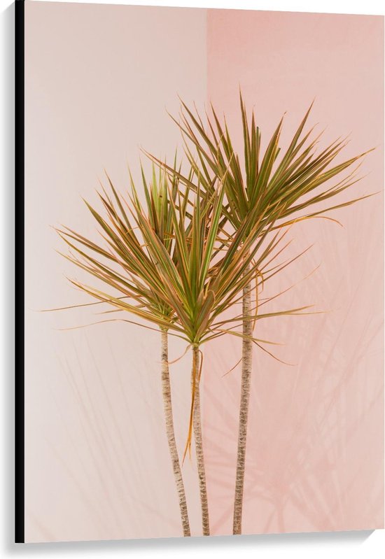 Canvas  - Palmboompjes met Roze Achtergrond - 80x120cm Foto op Canvas Schilderij (Wanddecoratie op Canvas)