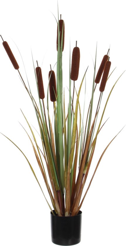 Mica Decorations quenouilles en pot plastique marron dimensions en cm: 90 x 12,5