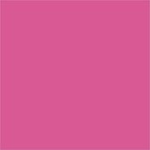 Gekleurd Karton, A4, 210x297 mm, 180 gr, roze, 20 vel/ 1 doos | Knutselpapier | Knutselkarton