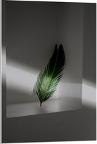 Acrylglas - Groene Veer - 60x90cm Foto op Acrylglas (Met Ophangsysteem)