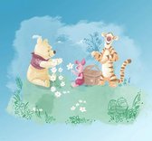 Fotobehang - Winnie Pooh Picnic 300x280cm - Vliesbehang