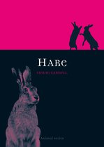 Animal -  Hare