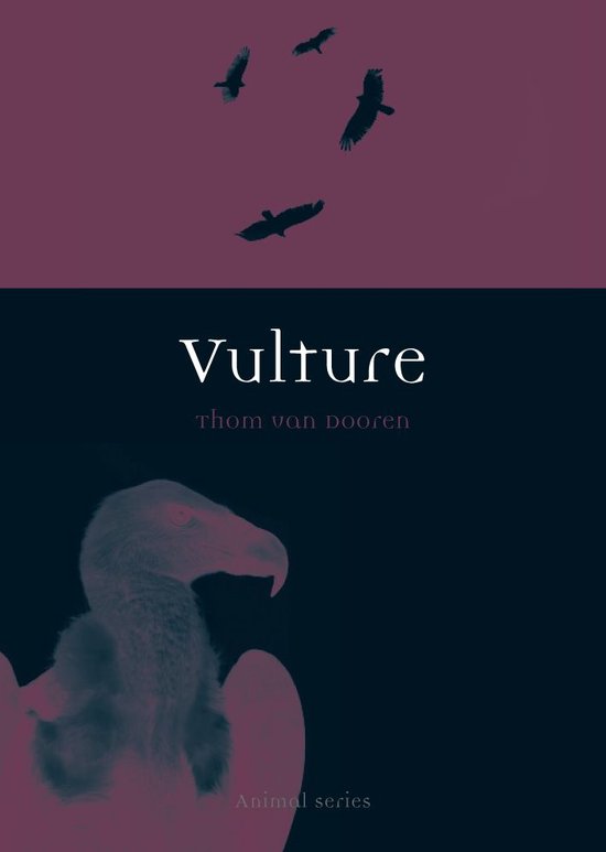 Animal 43 - Vulture - cover