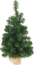 Kerstboom 60cm - 25 warm witte led lampjes