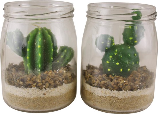 Set van 2 cactussen theelichtjes in glazen potten | bol.com
