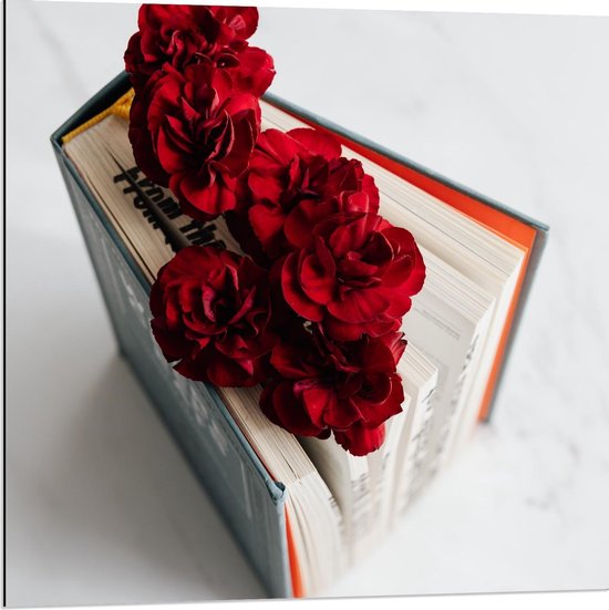 Dibond - Boek met Rode Rozen  - 80x80cm Foto op Aluminium (Wanddecoratie van metaal)