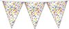 1x Confetti thema feest vlaggenlijnen van plastic 10 meter - Kinderfeestje/kinderverjaardag - Feest/verjaardag - Thema feest - Confetti feestversiering - Vlaggenlijnen/slingers - Vlaggenlijn van plastic