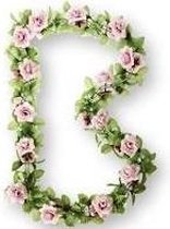 Slinger roze rozen VV