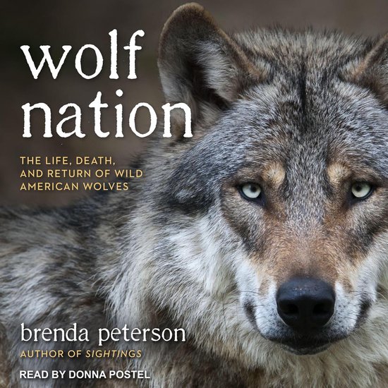 Wolf Nation - cover