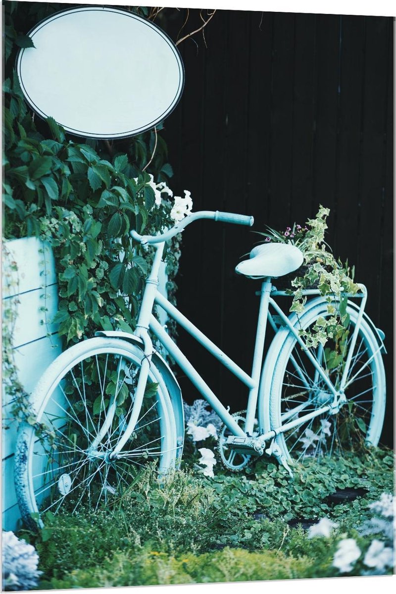 Plexiglas - Geparkeerde Fiets omringd door Planten - 80x120cm Foto op Plexiglas (Wanddecoratie op Plexiglas)