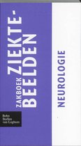 Zakboek ziektebeelden H6