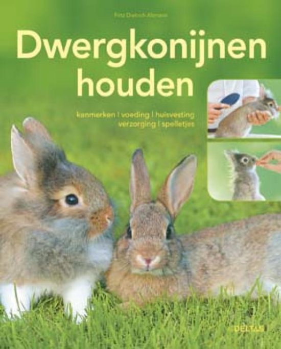 Dwergkonijnen houden