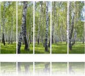 Schilderij , Zicht door het bos , Groen grijs ,4 maten , 5 luik , wanddecoratie , Premium print , XXL