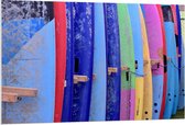 Forex - Verschillende Kleuren Surfborden - 120x80cm Foto op Forex