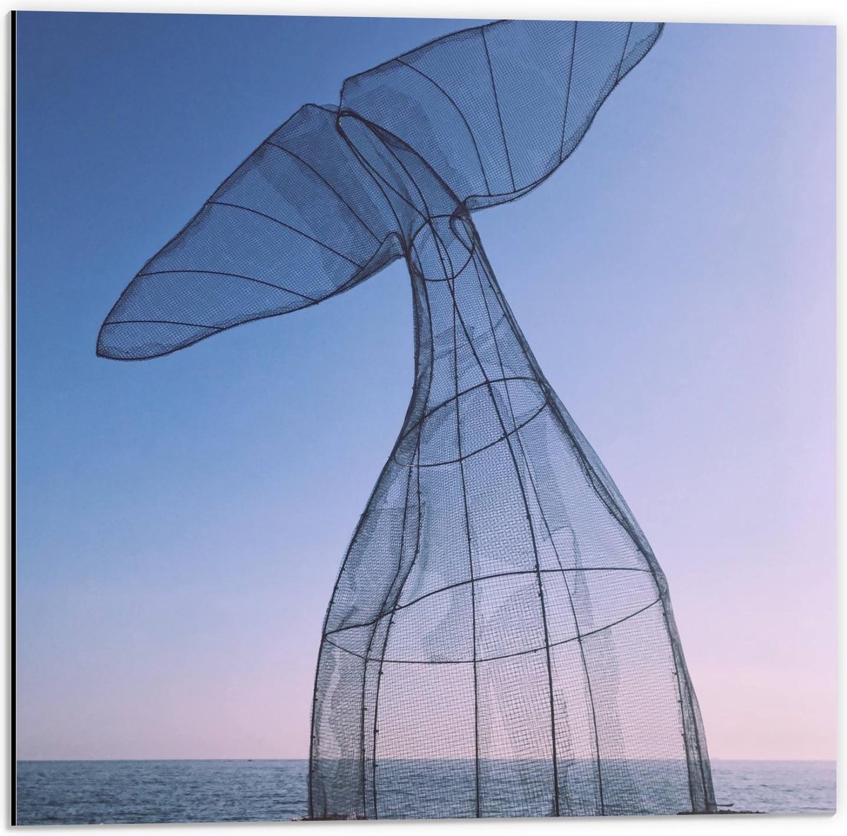 Dibond - Vissenstaart van Recyclet Plastic aan Zee - 50x50cm Foto op Aluminium (Wanddecoratie van metaal)