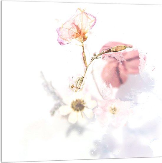 Acrylglas - Schildering Bloemen op Witte Achtergrond  - 100x100cm Foto op Acrylglas (Met Ophangsysteem)
