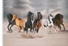 foto van A4 Schetsboek/ tekenboek/ kleurboek/ schetsblok met paarden bedrukking voor kinderen - Paarden tekenen speelgoed cadeau boek