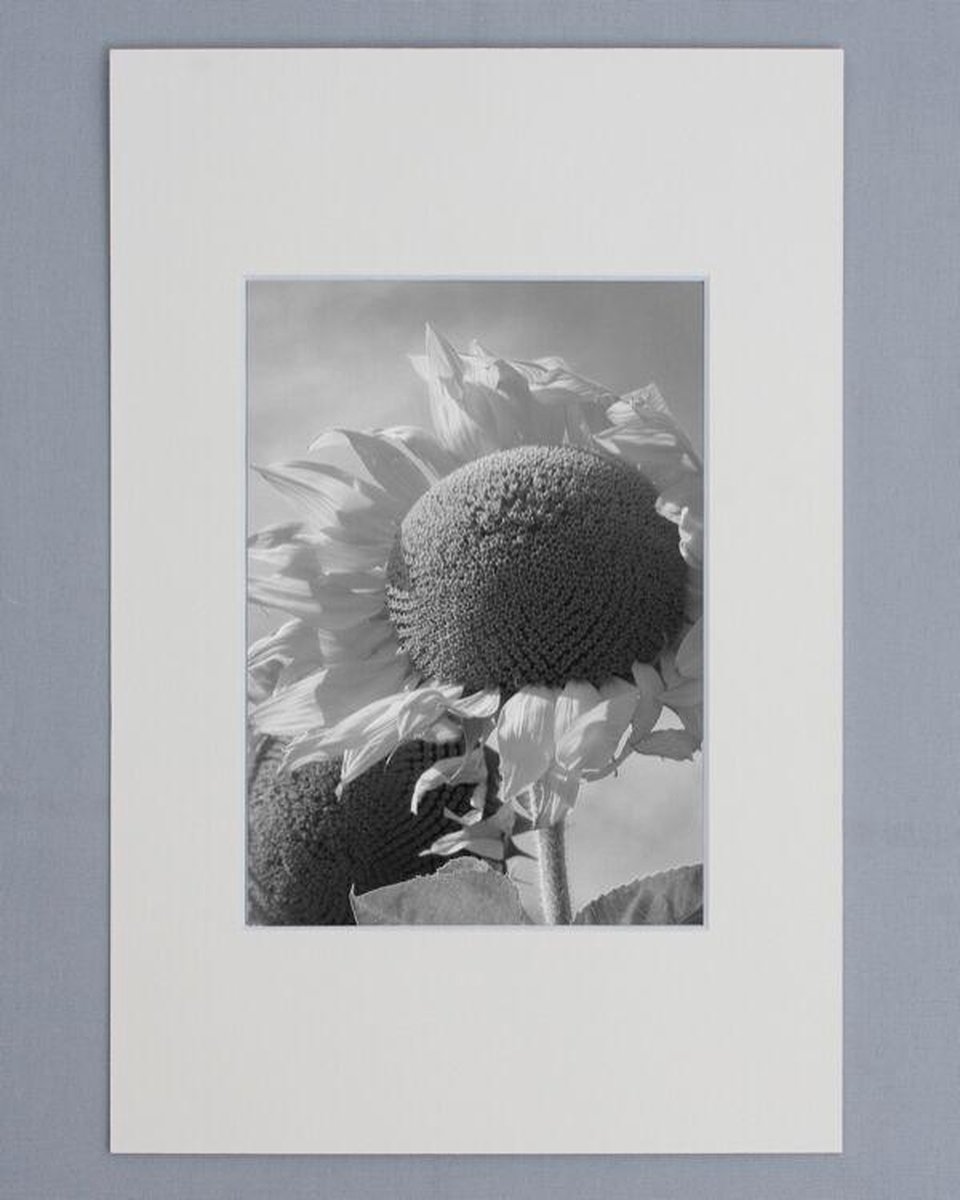 Passe Partout 30X45 Zacht Creme - Fotomaat 21x29,7 (A4) cm