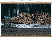 Schoolplaat – Opgestapeld hout in het Bos - 120x80cm Foto op Textielposter (Wanddecoratie op Schoolplaat)