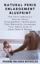 Natural Penis Enlargement Blueprint